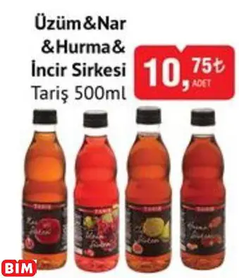 TARİŞ  ÜZÜM&NAR &HURMA& İNCİR SİRKESİ